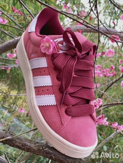 Adidas Campus 00s Pink Strata