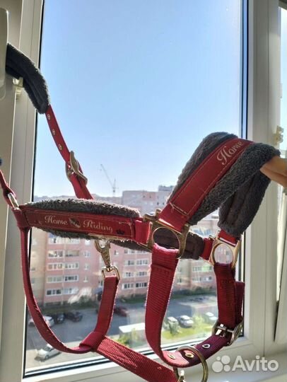 Недоуздки для лошади