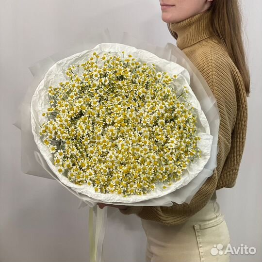 Дети солнца