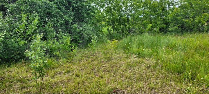 Участок 6 сот. (ИЖС)