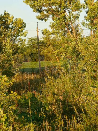 Участок 3,9 га (СНТ, ДНП)