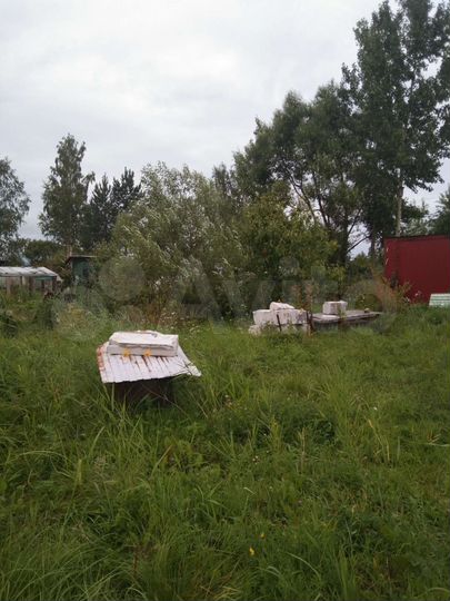 Участок 8 сот. (СНТ, ДНП)