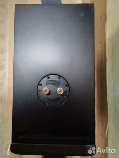 Эксклюзивная акустика Flying Lemon Audio System X