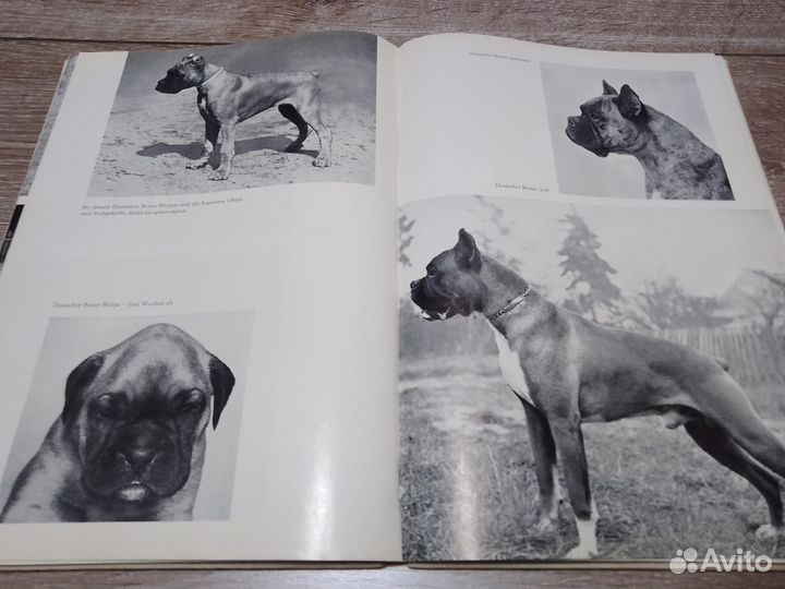 Продаю книгу о породах собак на нем.языке