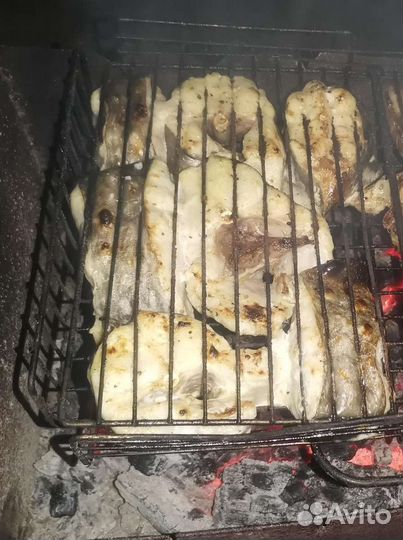 Волжская рыба, сом