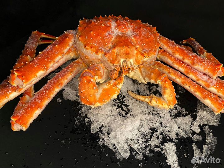 Подарочный камчатский краб