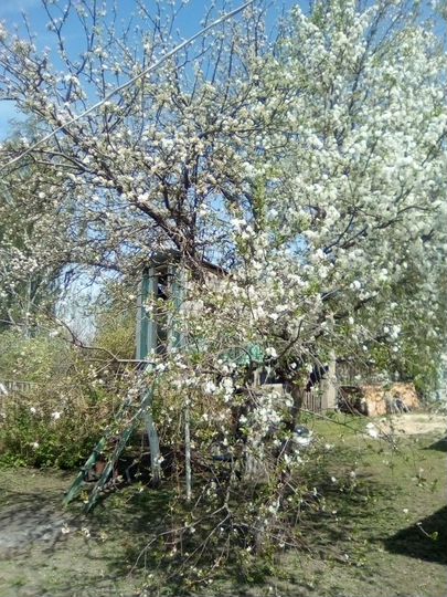 Участок 23,12 га (СНТ, ДНП)