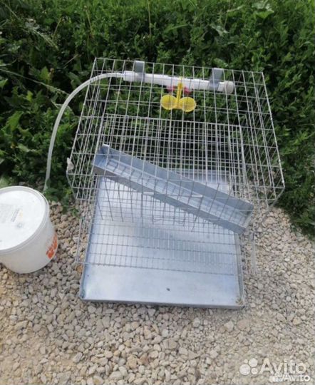 Клетка для перепелок
