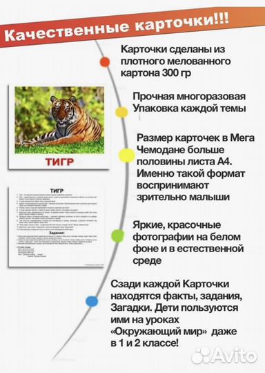 Карточки Домана Мегачемодан