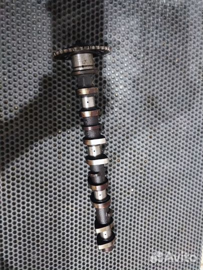 Распредвал выпускной Toyota 1nzfe 2nzfe