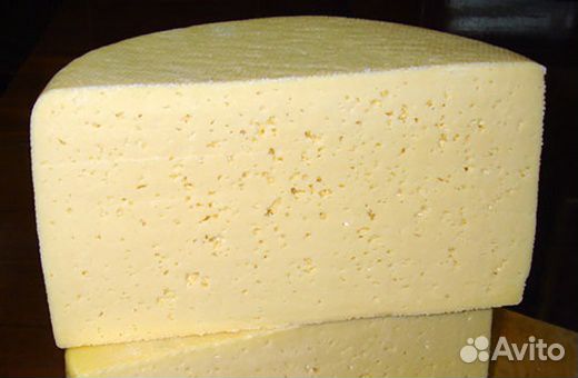 Сыры твёрдые и молодые