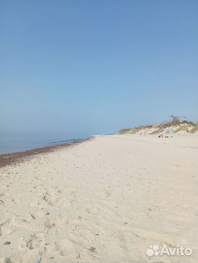 Куршская коса с комфортом авторские экскурсии