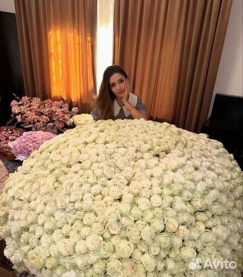 Роза 51 101 201 501 1001