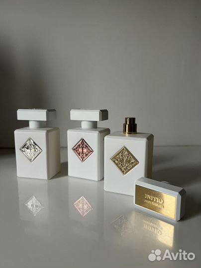 Paragon / Rehab / Musk therapy Initio