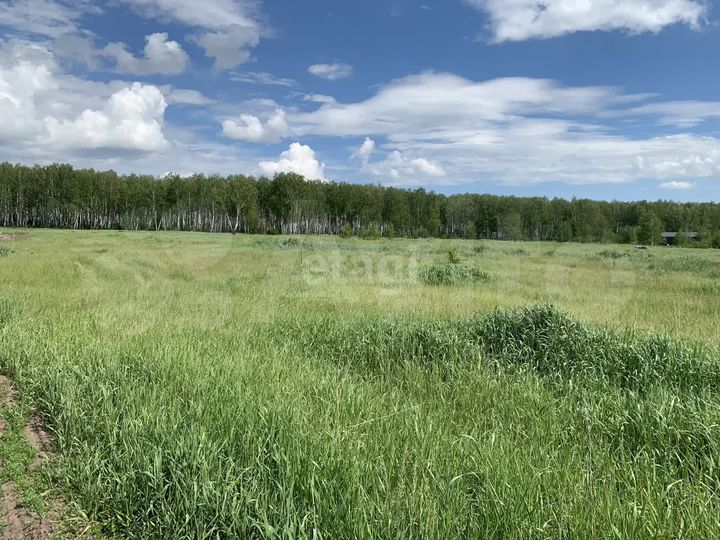 Участок 11,8 сот. (СНТ, ДНП)