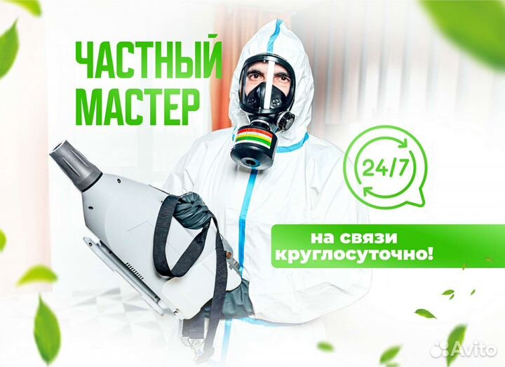 Уничтожение клопов, травить тараканов. Дезинфекция