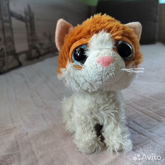 Котёнок Gulliver