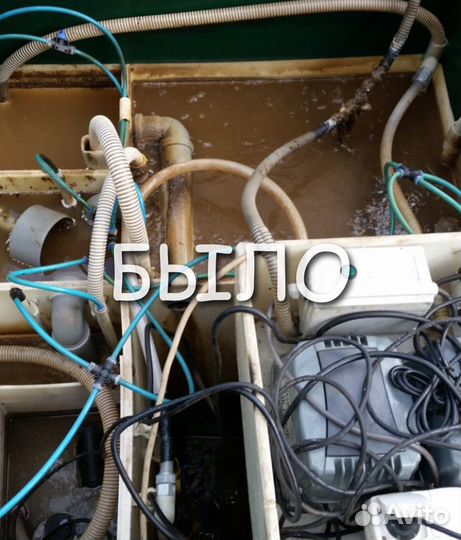 Обслуживание септика Дека