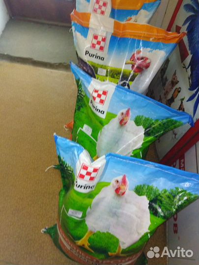 Комбикорм пурина