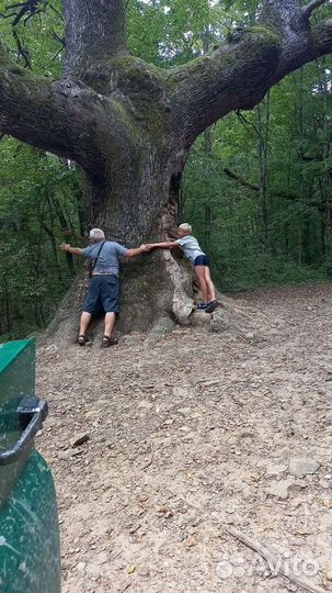 Экскурсии на пшадские водопады,дольмены