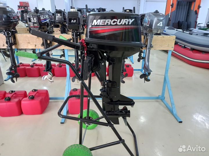 Лодочный мотор Меркури 9.9 Light 169сс