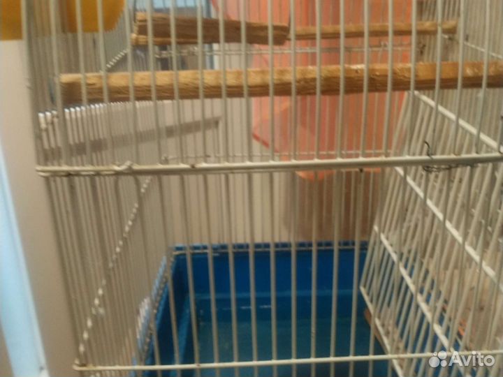 Клетка для попугая