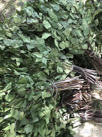 Веники для бани(липа, береза, дуб)