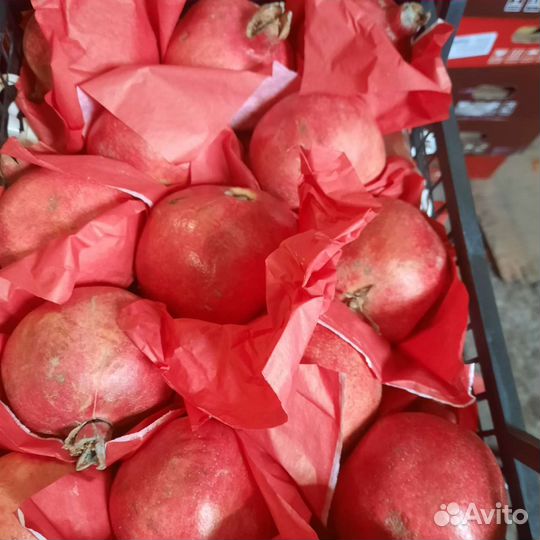 Манго свежее