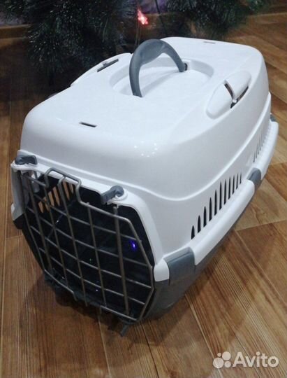 Переноска в аренду