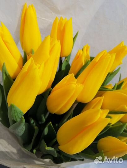 Тюльпаны к 8 марта розница