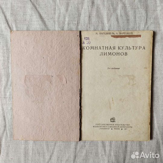 Комнатная культура лимонов - Капцинель 1937 г СССР