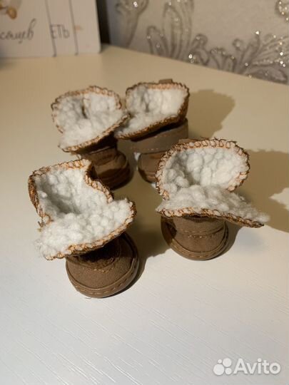 Одежда и обувь для собак