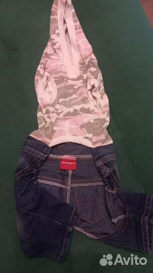 Одежда для животных