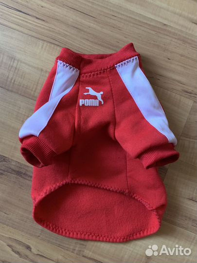 Костюмчик для собак