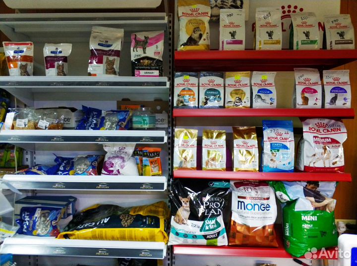 Действующий зоомагазин. Готовый бизнес