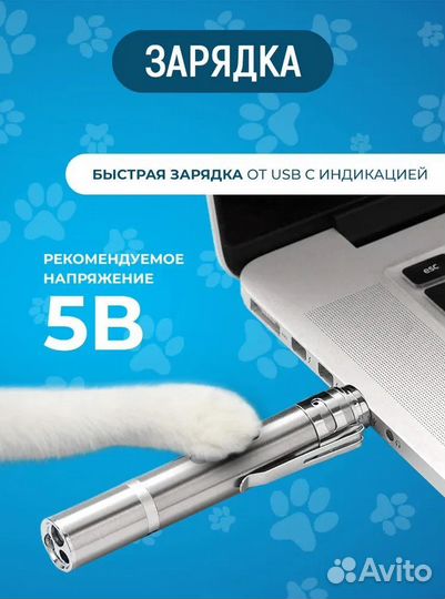 Лазерная указка для кошек и собак (оптом)