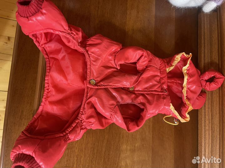 Одежда для собак мелких пород