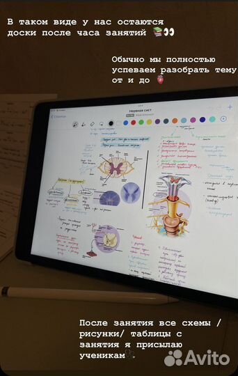 Репетитор по химии и биологии. Подготовка огэ/егэ
