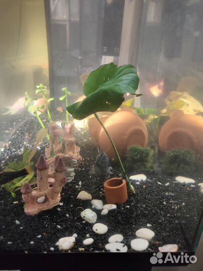 Аквариум с тумбой