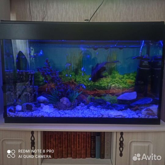 Аквариум