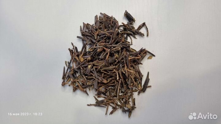 Санан Дайля