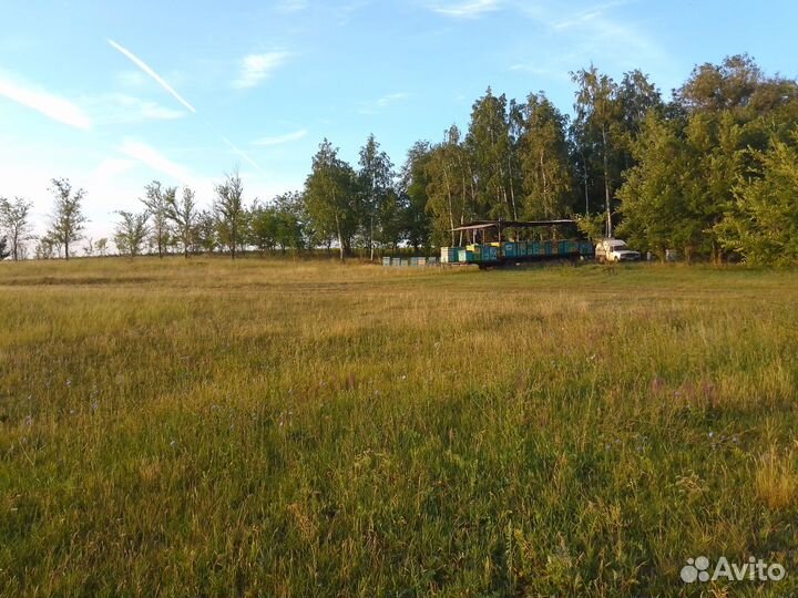 Мёд в розницу и оптом с личной пасеки