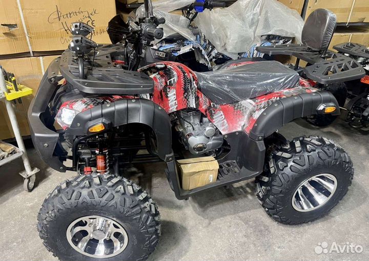 Новый Квадроцикл Grizzly 250 на Цепи