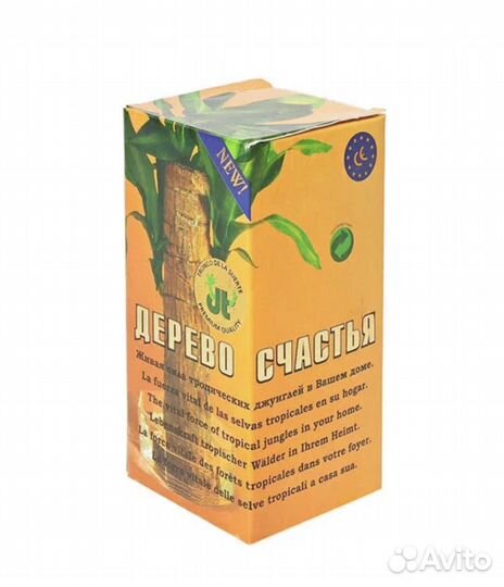 Комнатные растения