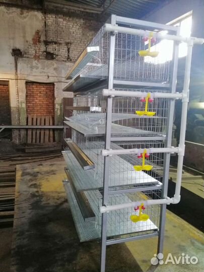 Клетка многоярусная для перепелов