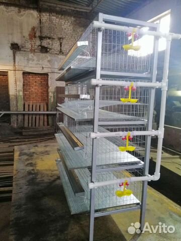 Клетка многоярусная для перепелов