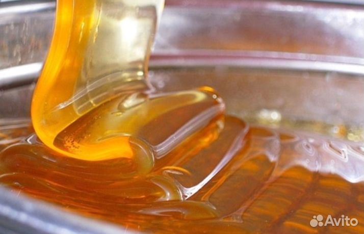 Мед натуральный с Алтая оптом от 16 кг