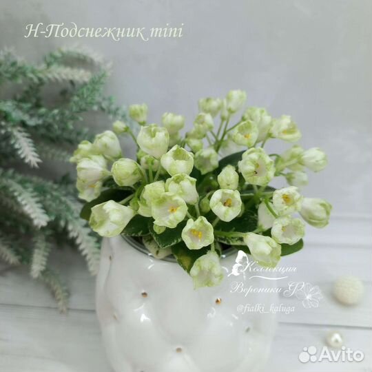 Мини Фиалки детки