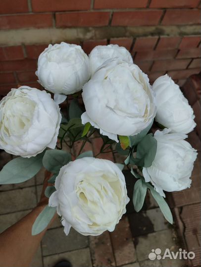 Искусственные пионы