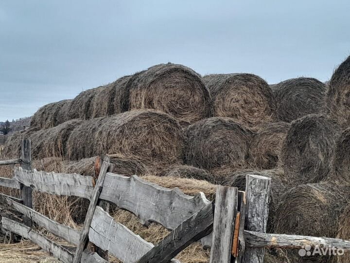 Сено в тюках